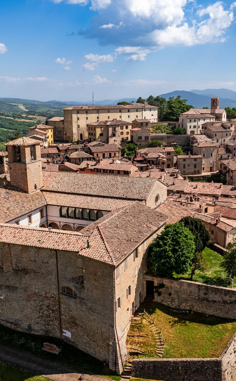 Montone-2